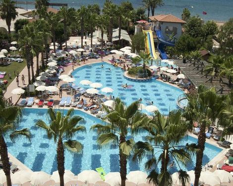 Trendy Palm Beach