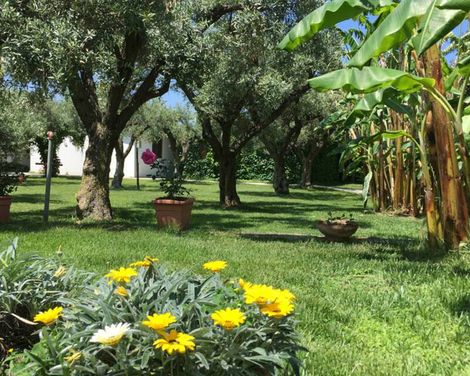 Hotel Resort Tonicello