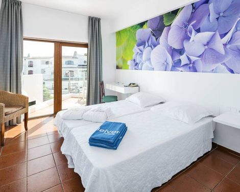 Hotel Da Aldeia