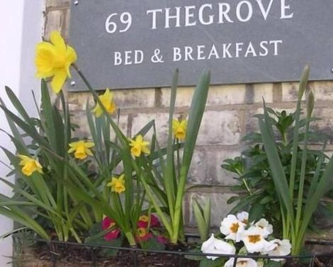 69TheGrove
