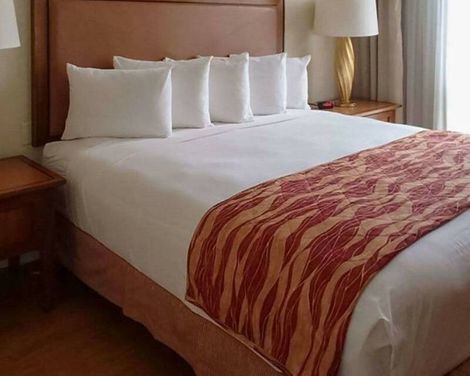 Rodeway Inn South Miami - Coral Gables