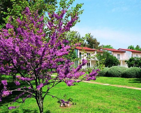 Ai Pini Medulin Resort