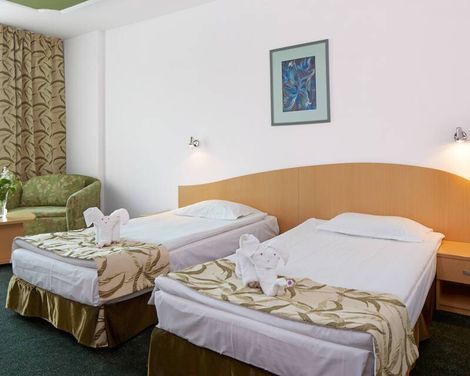 Hotel Mena Palace