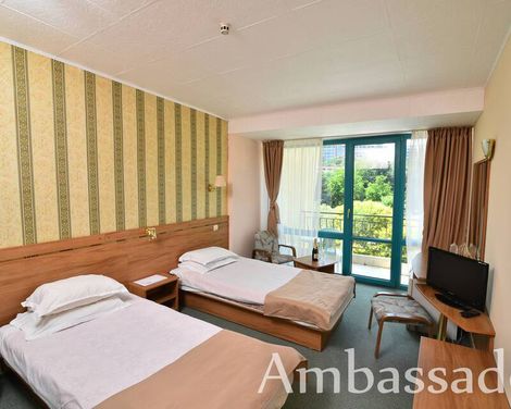Ambassador