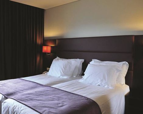 Axis Porto Business & Spa Hotel-0