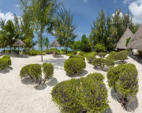 Hakuna Majiwe Zanzibar