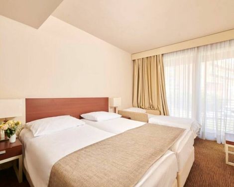 Hotel Albatros Plava Laguna