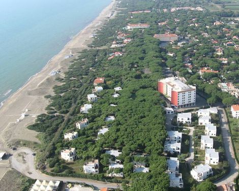 Giulivo