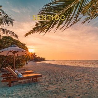 Sonnenliegen und -schirme an einem tropischen Strand bei Sonnenuntergang
