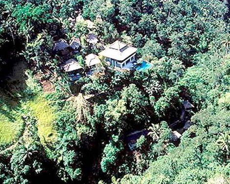 Natura Resort & Spa-1