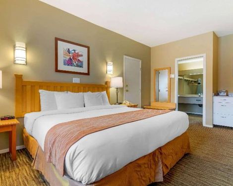 Econo Lodge Inn & Suites-3