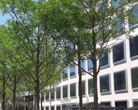 Placid Hotel Design & Lifestyle Zurich