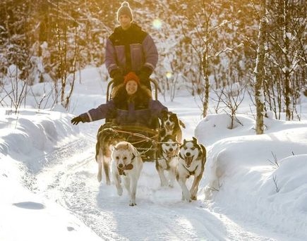 Eine Frau und ein Mann werden von einem Huskyschlitten durch eine verschneite Landschaft in Lappland gezogen.