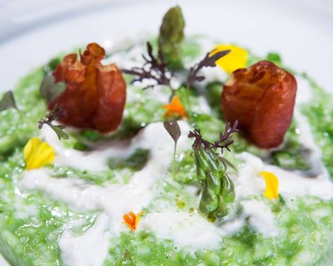 Royal Hideaway Corales Suites