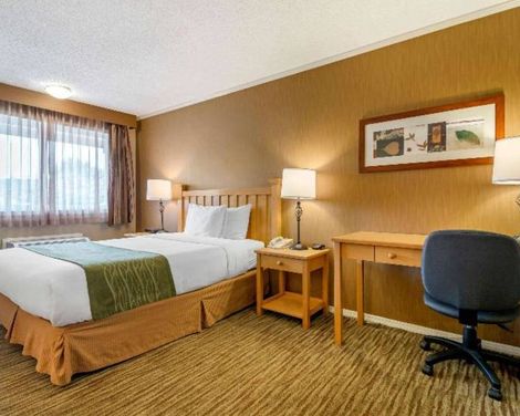 Econo Lodge Inn & Suites-1