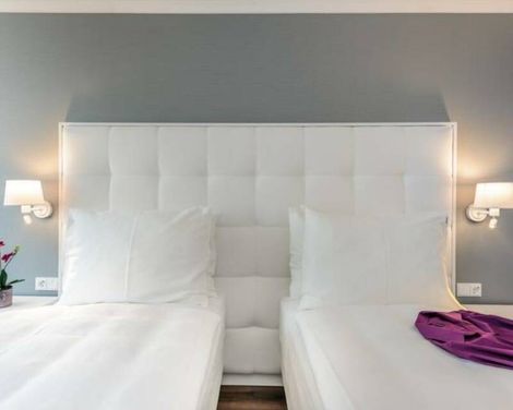 Mercure Raphael Wien-0