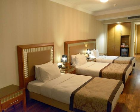 Mineo Park Hotel-2