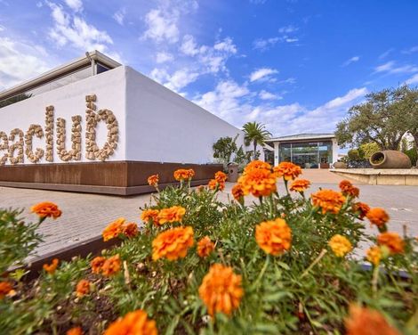 Seaclub Alcudia Mediterranean Resort