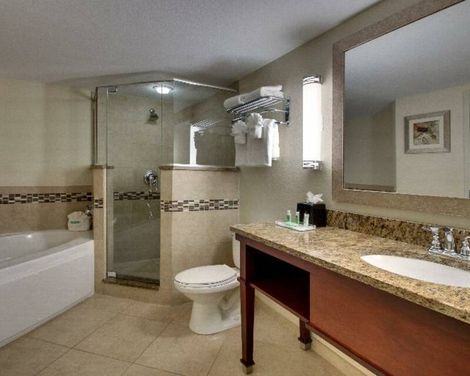 Holiday Inn Resort Orlando Lake Buena Vista-0