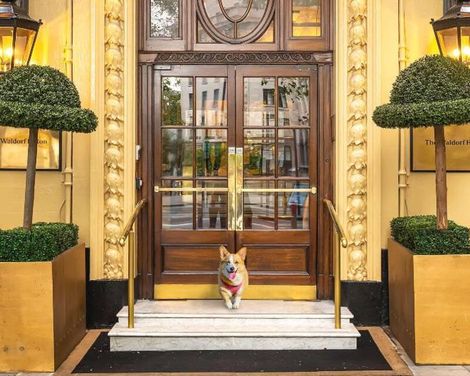 The Waldorf Hilton