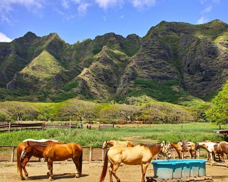 Holiday Inn Express Waikiki-0