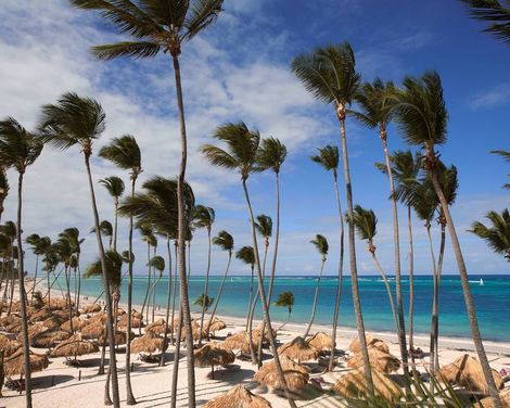 Zel Punta Cana - All Suites