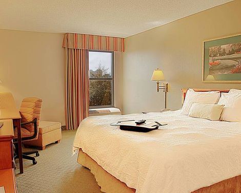 Hampton Inn Orlando International Drive/Convention Center