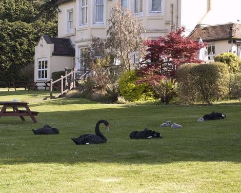 Worplesdon Place-1