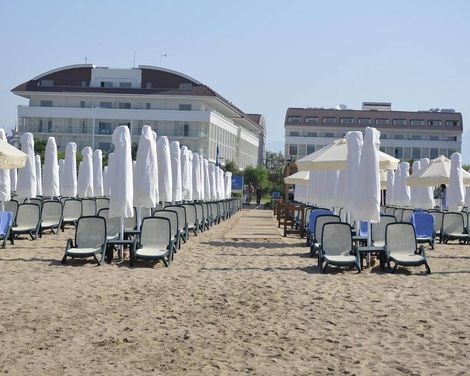 Trendy Verbena Beach