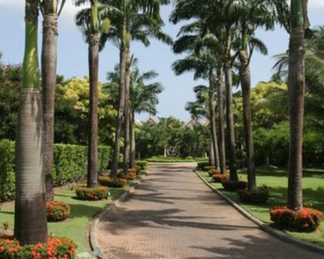 Coco Reef Resort & Spa-1