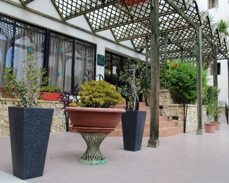 The San Anton Hotel