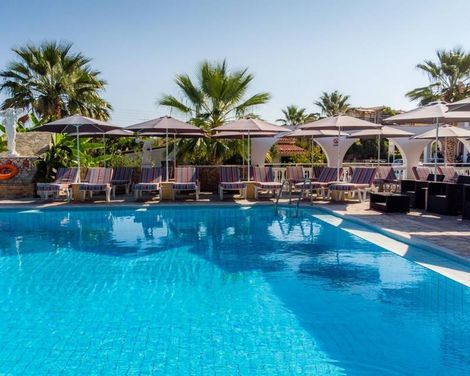 Anamar Zante