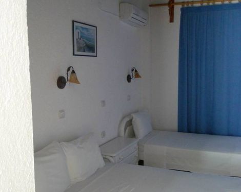 Avra Palm-2