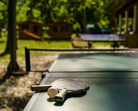 Campsite & Holiday Resort Medveja