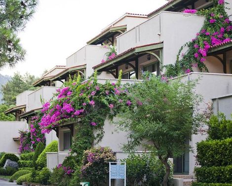 Grand Pasa Hotel