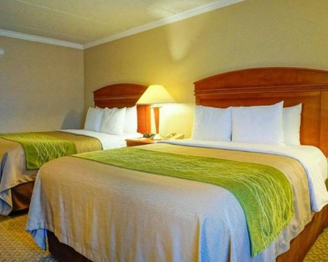 Comfort Inn Anaheim Resort-1