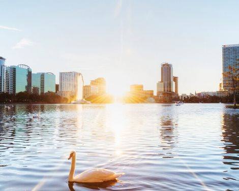 Urlaub Orlando