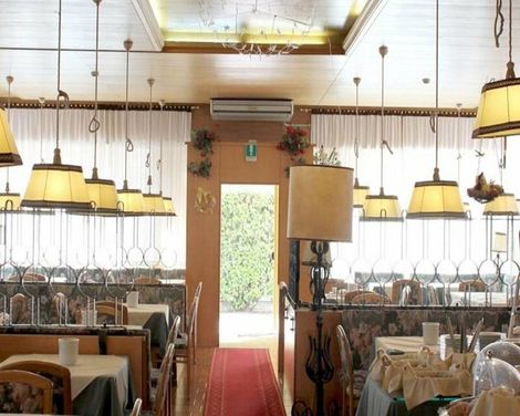 Camelia Rooms