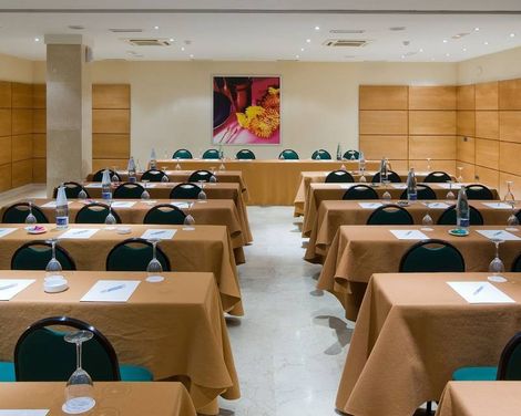 NH San Pedro de Alcántara-1