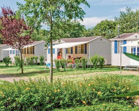 Camping Wien