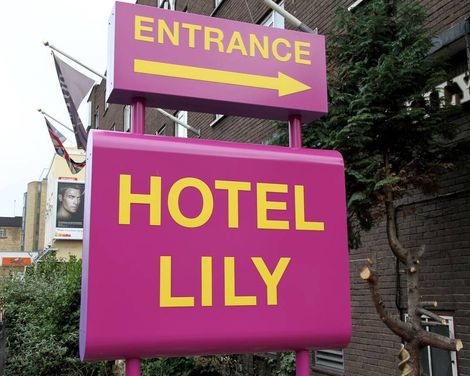 Lily-2