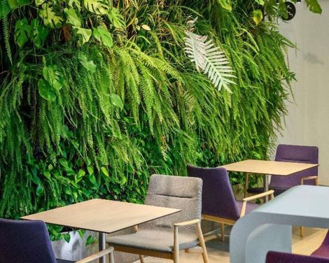 ibis Styles Budapest Airport