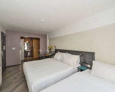 Faros Hotel Taksim-3