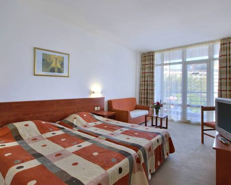 Hotel Fenix