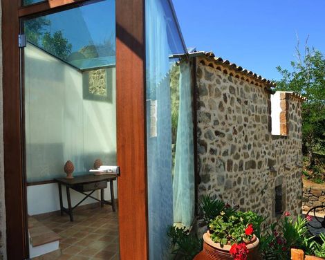 Alberi del Paradiso-0