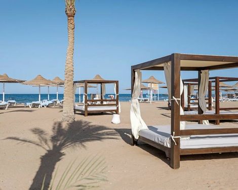 Calimera Blend Paradise-0