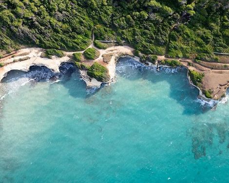 VOI Daniela Essentia