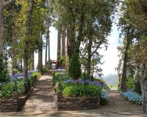 Quinta da Serra - Bio Hotel