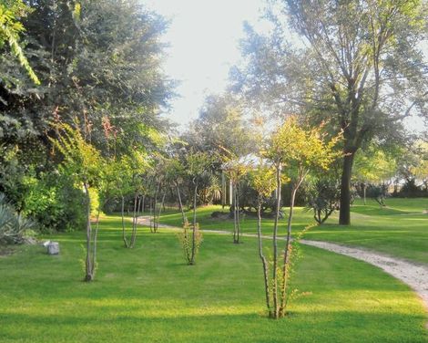 Camping Ca'Savio by Happy Camp