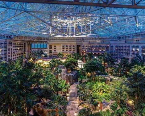 Gaylord Palms Resort & Convention Center